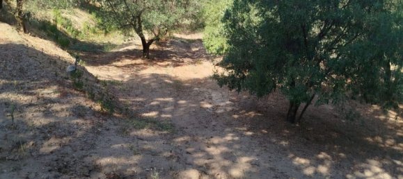 28000m² Land in Montepaone, Italy No. 36239 14