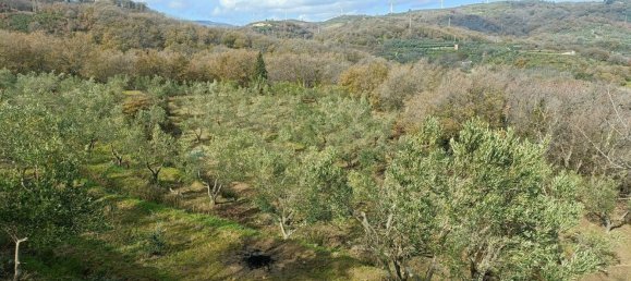 28000m² Land in Montepaone, Italy No. 36239 9