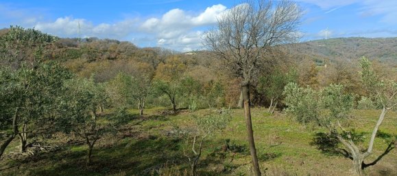 28000m² Land in Montepaone, Italy No. 36239 5