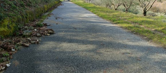 28000m² Land in Montepaone, Italy No. 36239 2