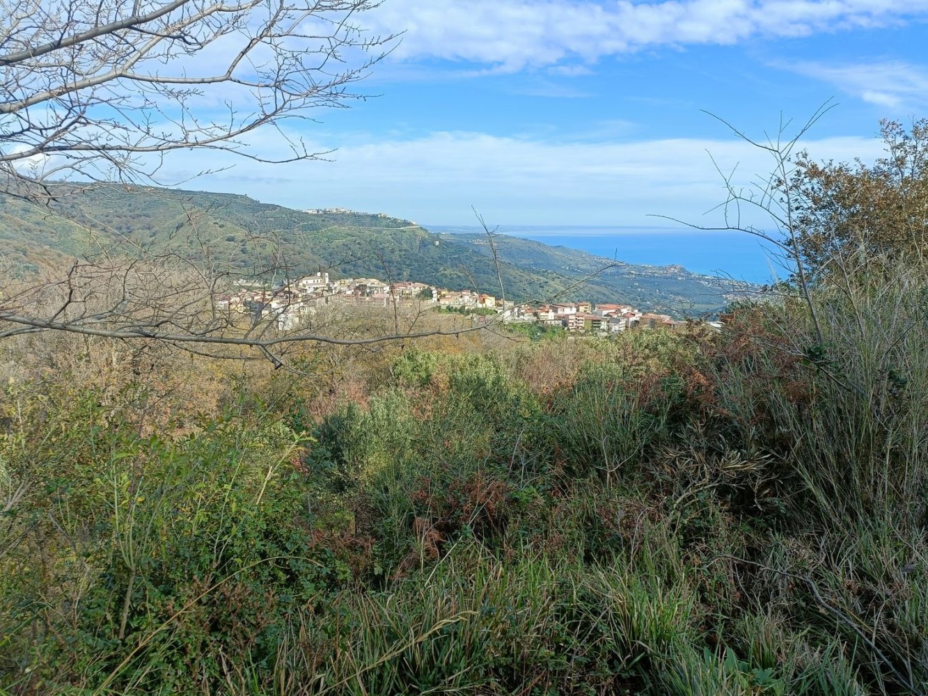 28000m² Land in Montepaone, Italy No. 36239