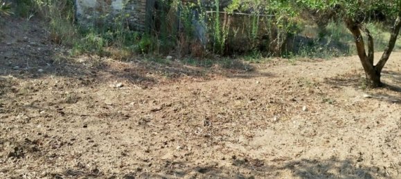 28000m² Land in Montepaone, Italy No. 36239 11