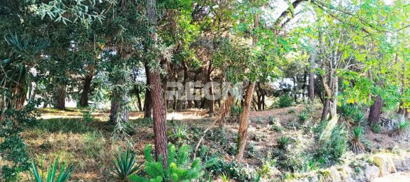 1 bedroom Apartment in Saint-Georges-de-Didonne, France No. 110524 7