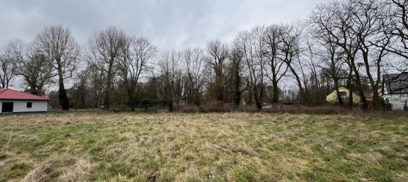 Terreno em Potsdam-Mittelmark, Germany 626 m² N.º 1662 7