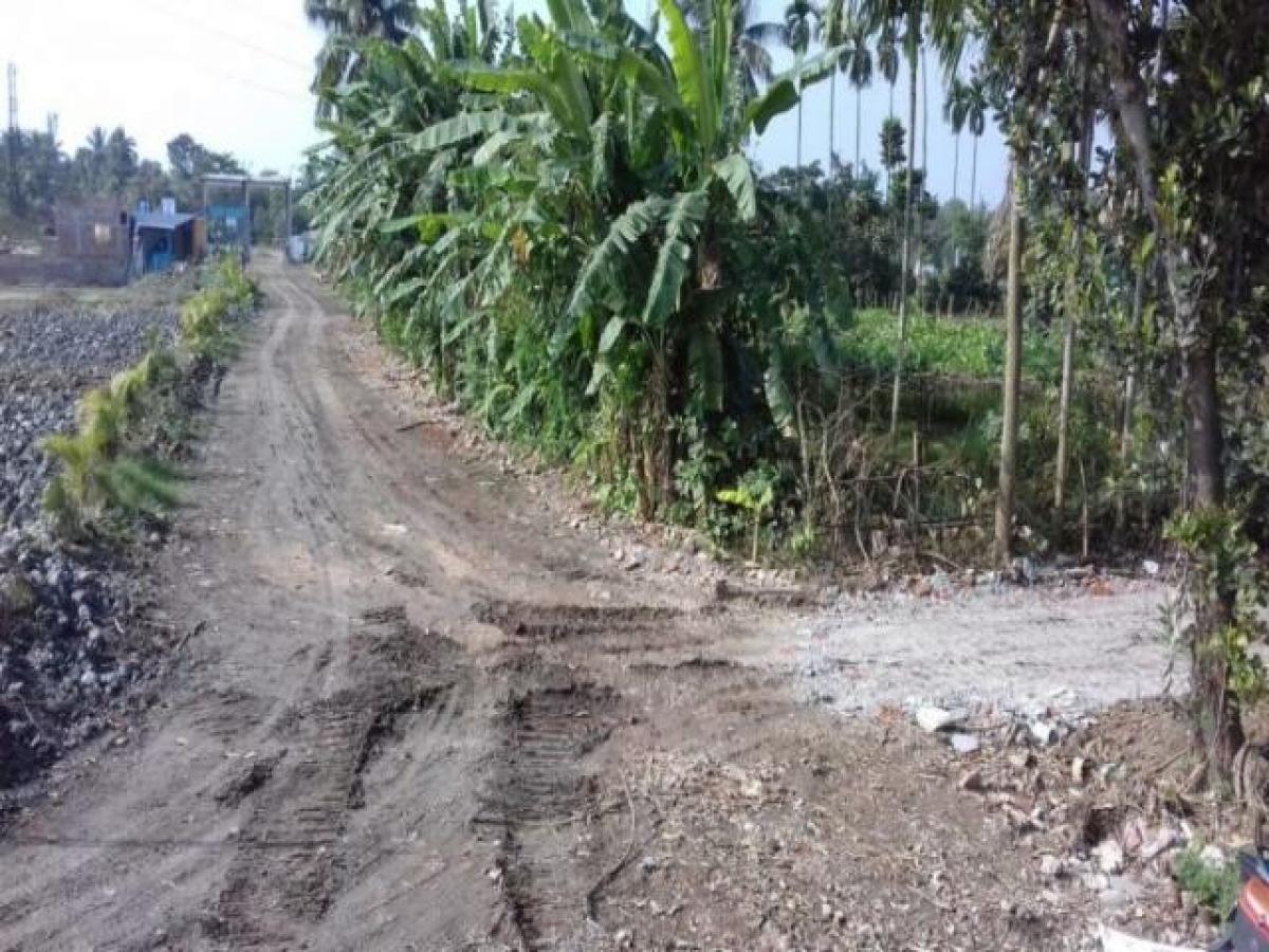  Land in Kolkata, India No. 31477