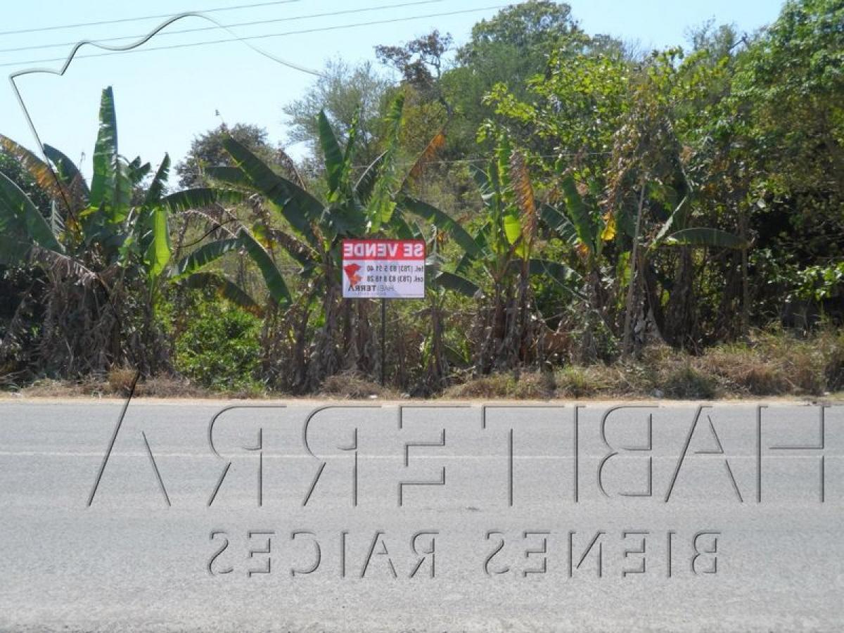  Land in Veracruz, Mexico No. 205145