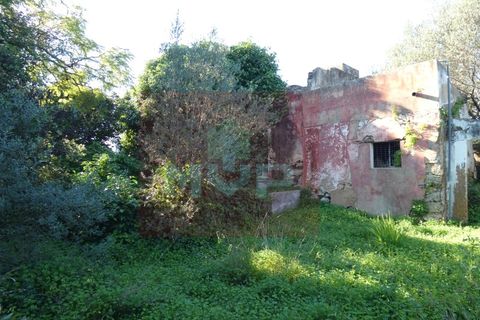 Grundstück in Olhao, Portugal 209m², Nr. 330072