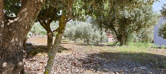 3 bedrooms House in Arrifana, Portugal No. 177196 8