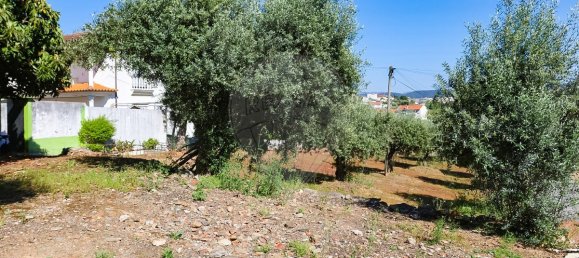 3 bedrooms House in Arrifana, Portugal No. 177196 6