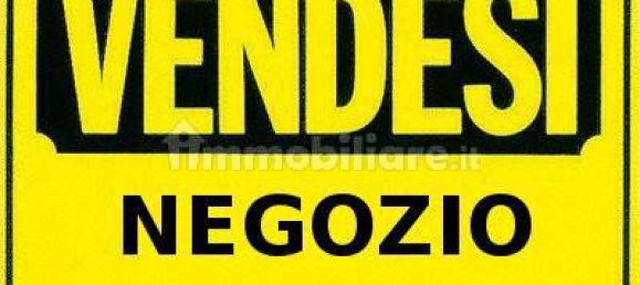 150m² Commercial property in Venice, Italy No. 155663 3