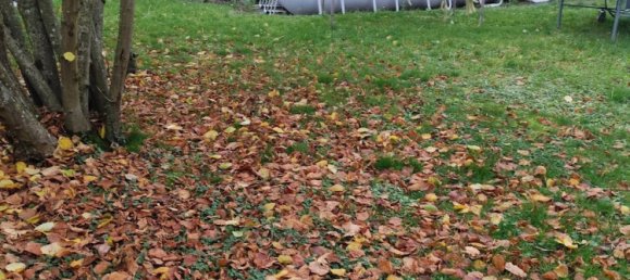 3 غرف نوم تاون هاوس في Faulquemont, France رقم 49137 35