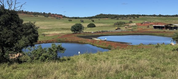 Дом с 3 спальнями в Kinleymore, Австралия № 827 3