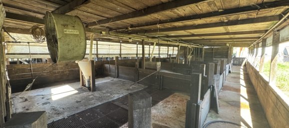 Дом с 3 спальнями в Kinleymore, Австралия № 827 21