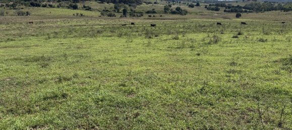 Дом с 3 спальнями в Kinleymore, Австралия № 827 11