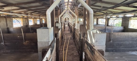 Дом с 3 спальнями в Kinleymore, Австралия № 827 18