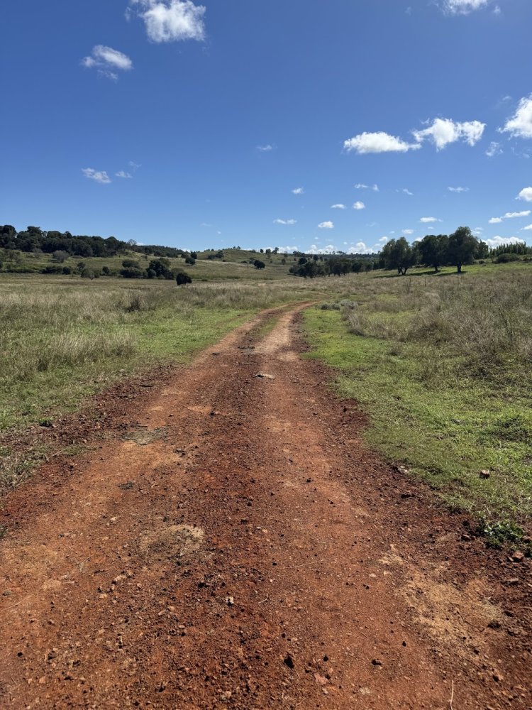 Дом с 3 спальнями в Kinleymore, Австралия № 827