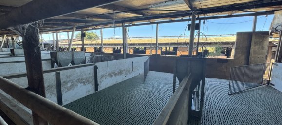 Дом с 3 спальнями в Kinleymore, Австралия № 827 17