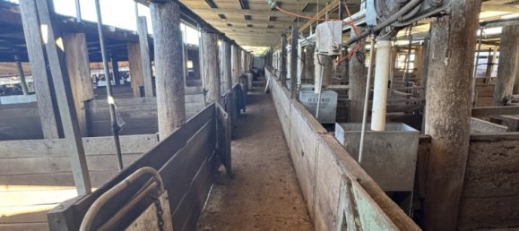 Дом с 3 спальнями в Kinleymore, Австралия № 827 20