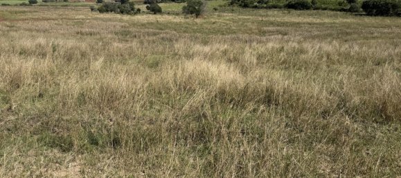 Дом с 3 спальнями в Kinleymore, Австралия № 827 13