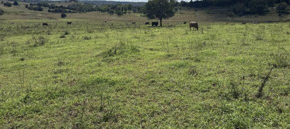 Дом с 3 спальнями в Kinleymore, Австралия № 827 16