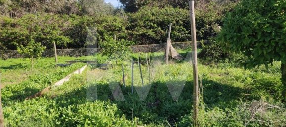 Terreno en Palmela, Portugal 2600 m² No. 77612 10