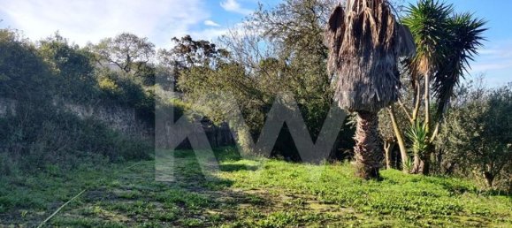 Terreno en Palmela, Portugal 2600 m² No. 77612 6