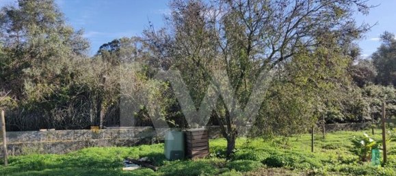 Terreno en Palmela, Portugal 2600 m² No. 77612 11