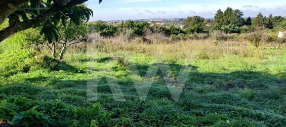 Terreno en Palmela, Portugal 2600 m² No. 77612 8