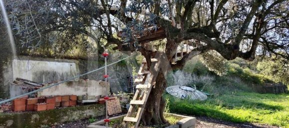 Terreno en Palmela, Portugal 2600 m² No. 77612 7