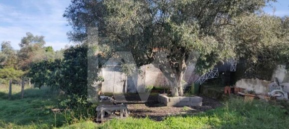 Terreno en Palmela, Portugal 2600 m² No. 77612 5