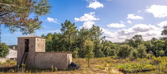 5 غرف نوم منزل في Caldas da Rainha, Portugal رقم 113656 48