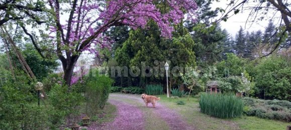 7 bedrooms House in Alessandria, Italy No. 50877 37