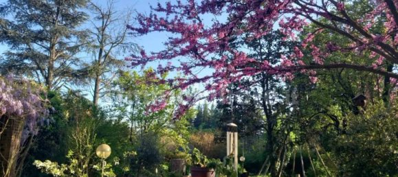 7 bedrooms House in Alessandria, Italy No. 50877 36