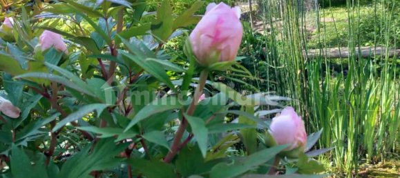 7 bedrooms House in Alessandria, Italy No. 50877 47