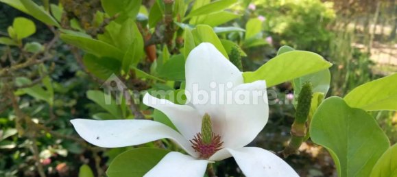 7 bedrooms House in Alessandria, Italy No. 50877 44