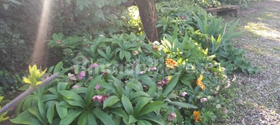 7 bedrooms House in Alessandria, Italy No. 50877 39