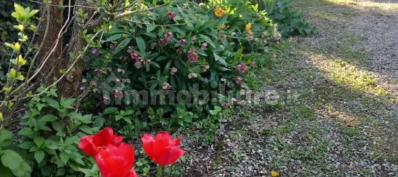 7 bedrooms House in Alessandria, Italy No. 50877 42