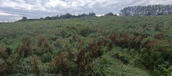 Grundstück in Gouy-Saint-Andre, France 2886m², Nr. 236710 6