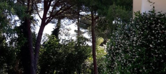 4 rooms Villa in Portoferraio, Italy No. 280338 6