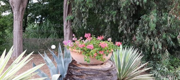 4 rooms Villa in Portoferraio, Italy No. 280338 27