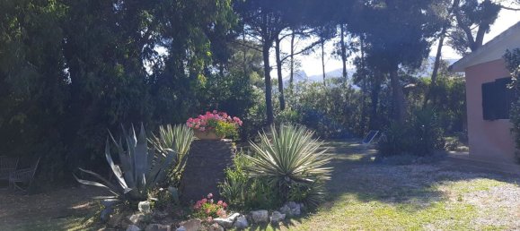 4 rooms Villa in Portoferraio, Italy No. 280338 25
