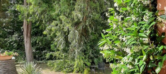 4 rooms Villa in Portoferraio, Italy No. 280338 32