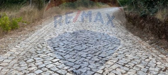 4 غرف نوم منزل في Macas de Dona Maria, Portugal رقم 171290 5