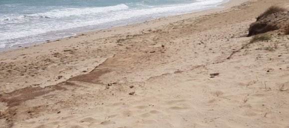 4-salle Appartement à Torchiarolo, Italy No. 86945 15