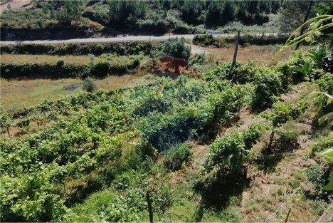 Terrain à Ponte da Barca, Portugal 2800m² No. 58524