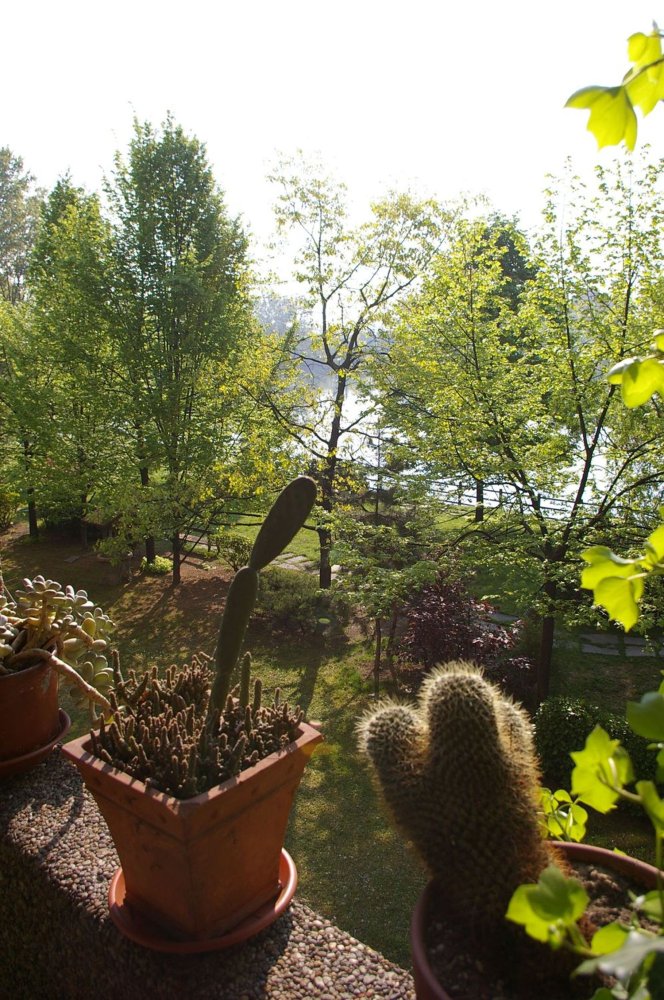 9-salle Appartement à Segrate, Italy No. 314195