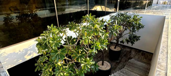 Вилла с 7 спальнями в Дубай, ОАЭ № 38090 10