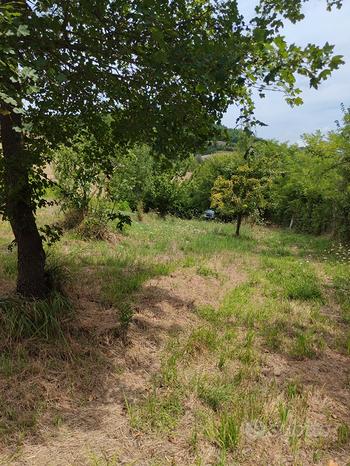 10000m² Land in Urbino, Italy No. 281298