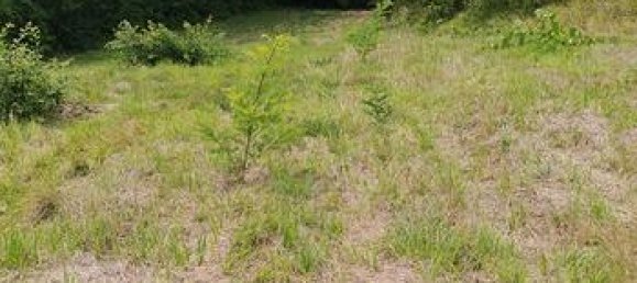 10000m² Land in Urbino, Italy No. 281298 8