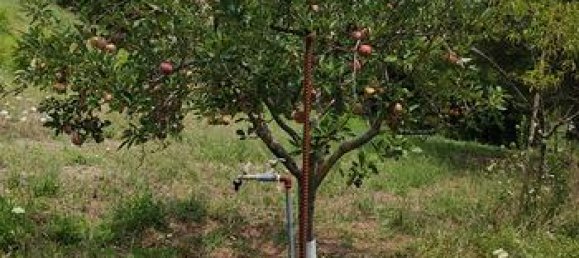 10000m² Land in Urbino, Italy No. 281298 7